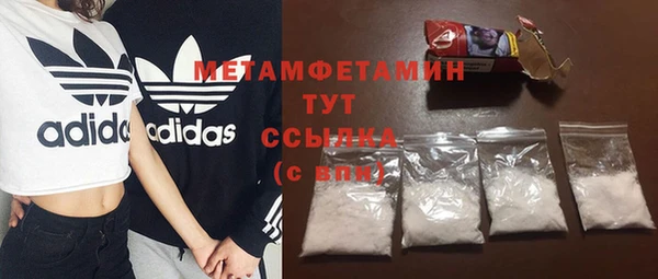 шишки Горняк