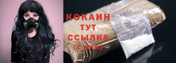 прущие грибы Аркадак