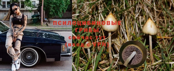 хмурый Армянск