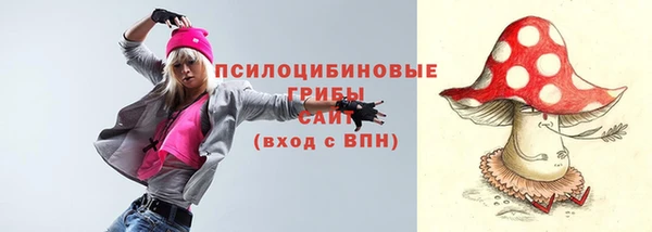 СК Кинешма